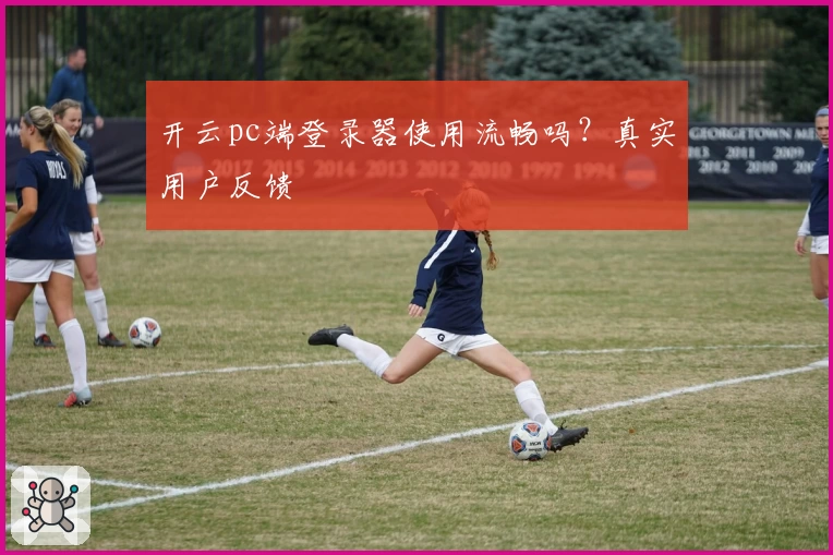 开云pc端登录器使用流畅吗？真实用户反馈