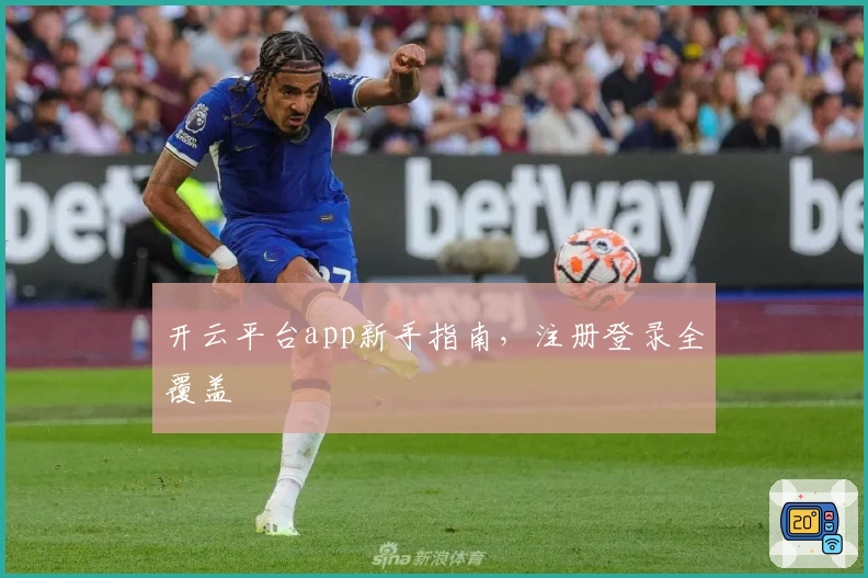 开云平台app新手指南，注册登录全覆盖