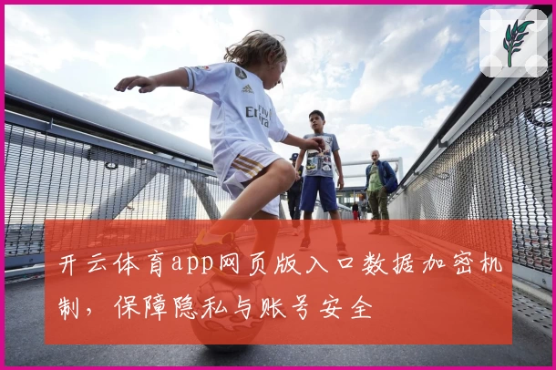 开云体育app网页版入口数据加密机制，保障隐私与账号安全