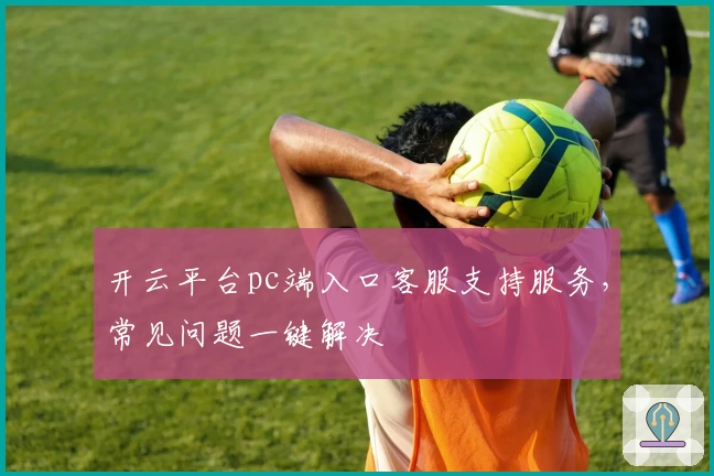 开云平台pc端入口客服支持服务，常见问题一键解决