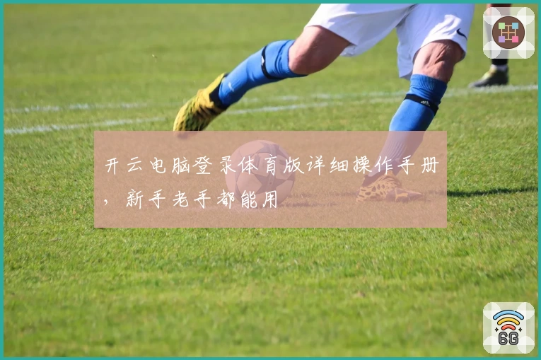 开云电脑登录体育版详细操作手册，新手老手都能用