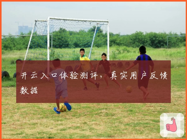 开云入口体验测评，真实用户反馈数据
