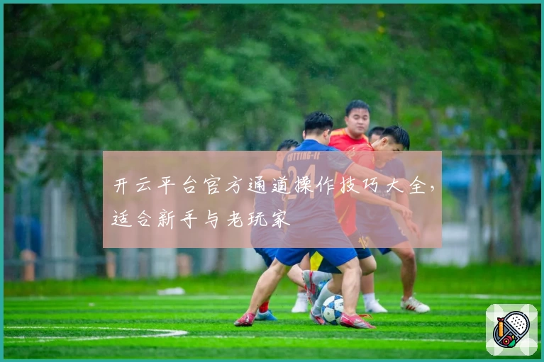 开云平台官方通道操作技巧大全，适合新手与老玩家