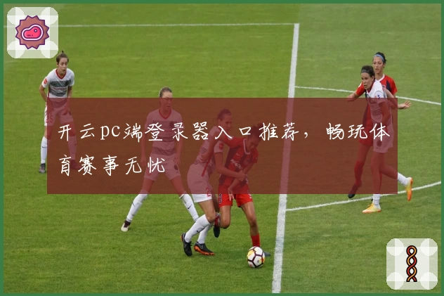 开云pc端登录器入口推荐，畅玩体育赛事无忧