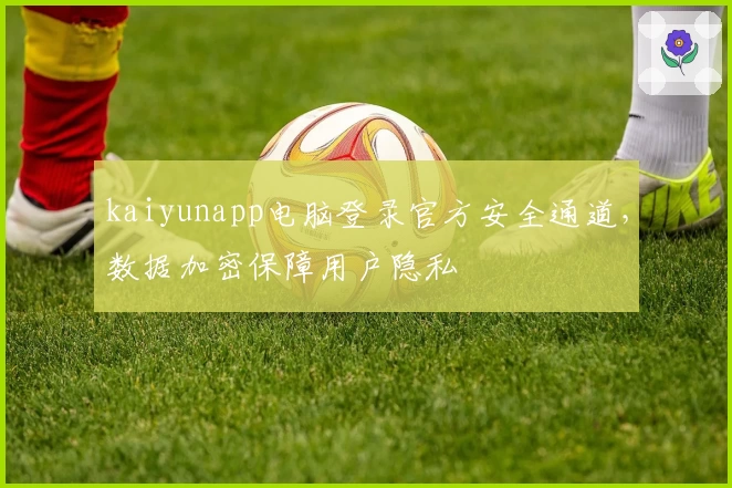 kaiyunapp电脑登录官方安全通道，数据加密保障用户隐私