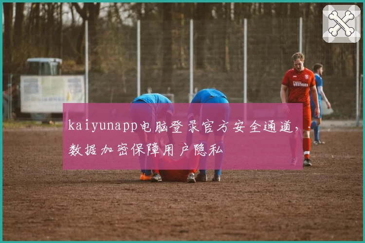 kaiyunapp电脑登录官方安全通道，数据加密保障用户隐私