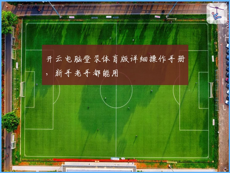 开云电脑登录体育版详细操作手册，新手老手都能用
